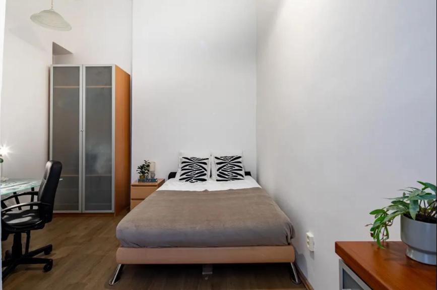 Cityscape Budget Zichy Loft Apartment *